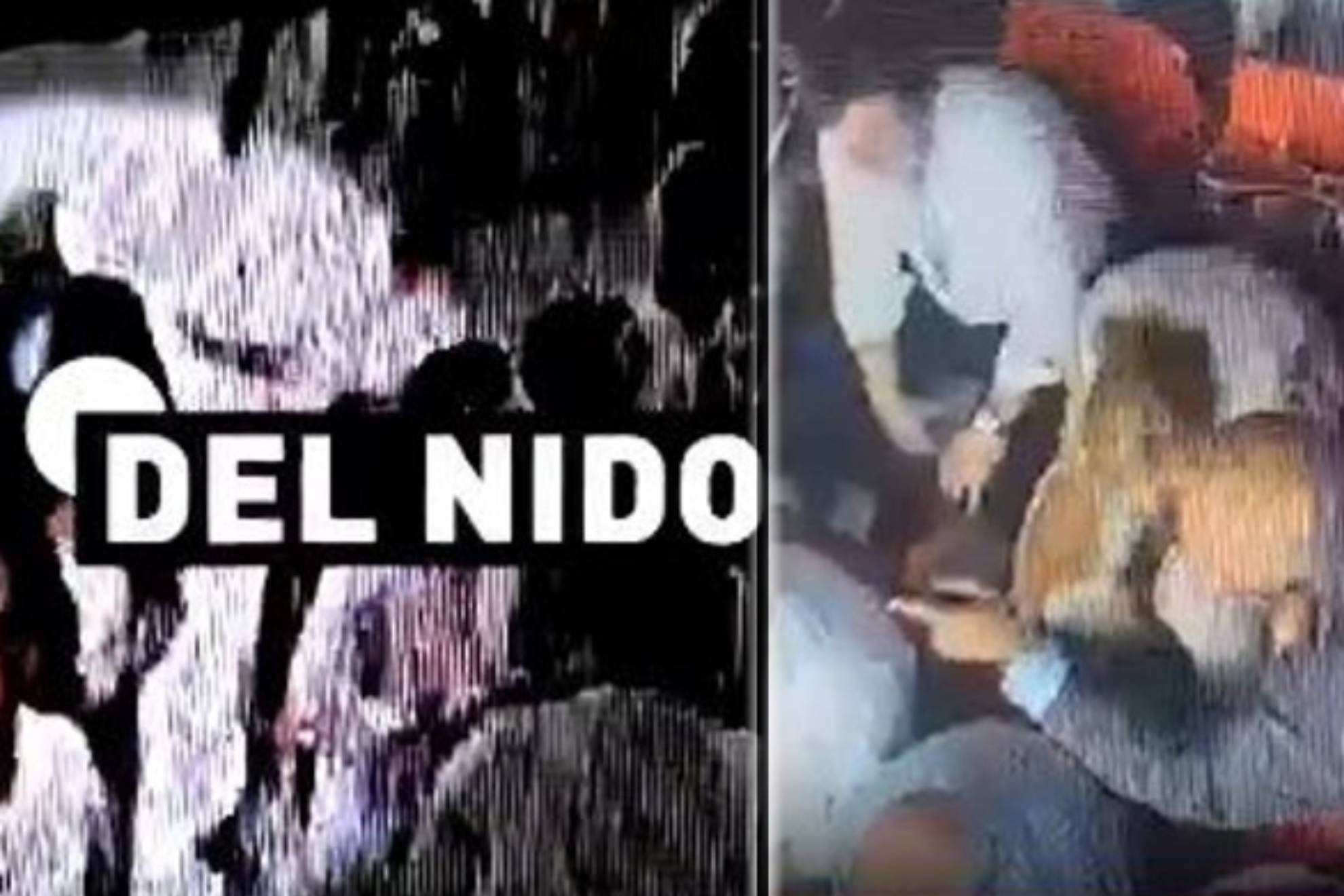 那为什么南 那为什么南